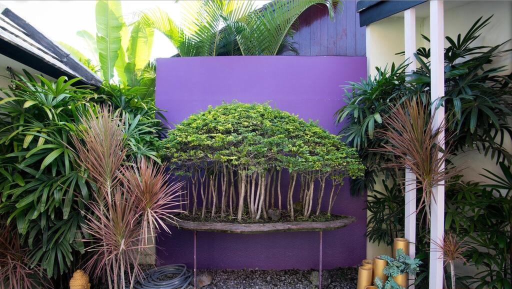 סמיניאק Bonsai Villas חדר תמונה